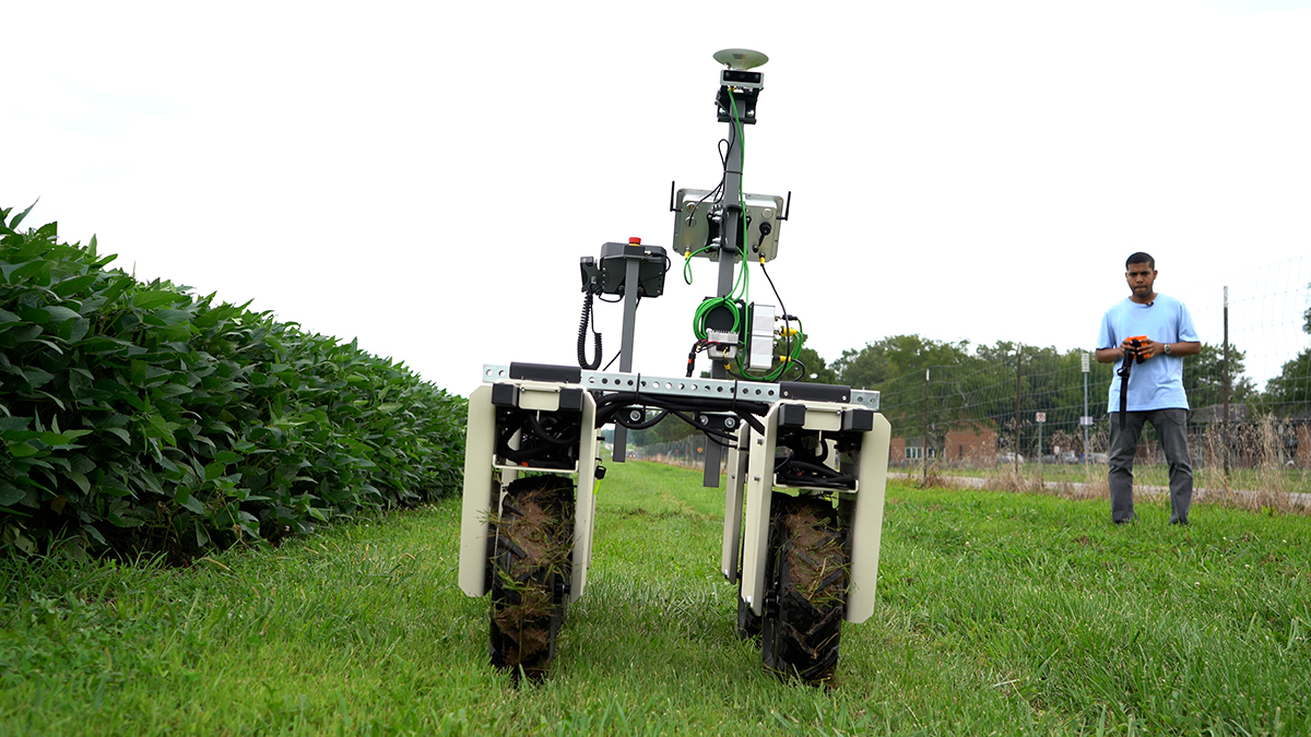 A four-wheeled robot with a GPS and multiple cameras is on green grass next to a soybean field with a graduate student in the background holding a remote device that controls the robot